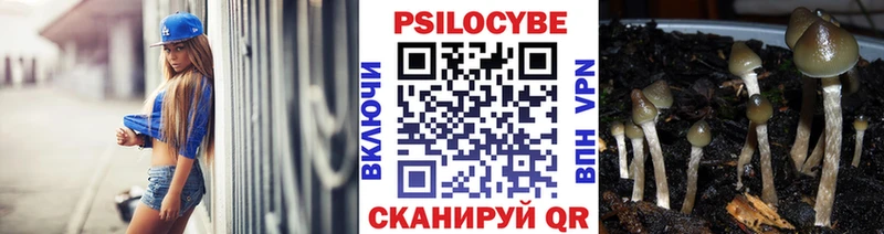 KRAKEN ТОР  купить наркотик  Бирюч  Галлюциногенные грибы Cubensis 